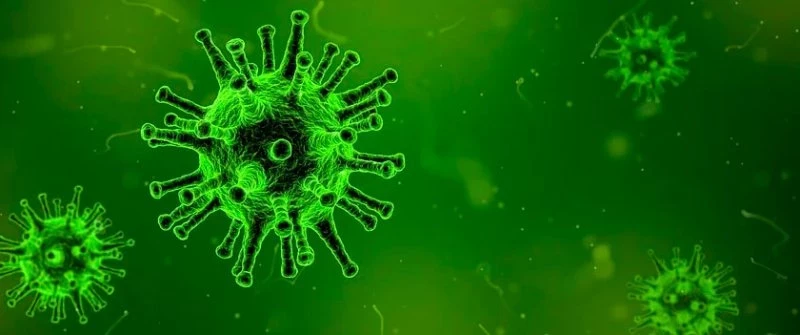 Дезинфекция квартиры и лечение COVID-19. Эксперты ответили на вопросы
