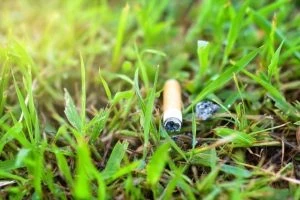 Двойной удар. Курение как фактор развития болезней и вреда для окружающей среды