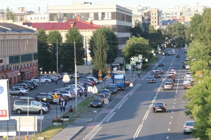 Какие деревья лучше всего очистят городской воздух