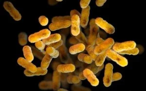 Коклюшная инфекция и ее осложнения