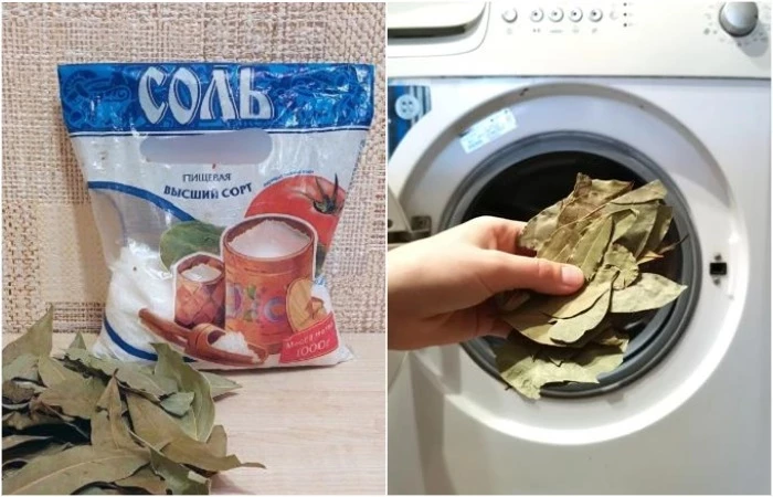 Зачем класть соль и лаврушку в стиральную машину: 8 бытовых лайфхаков для хозяюшек, знающих цену деньгам