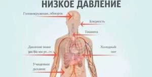Что нужно делать при низком давлении? Причины гипотонии