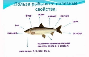 Чем рыба лучше мяса?