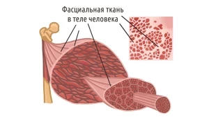 Что такое МФР (миофасциальный релиз)?