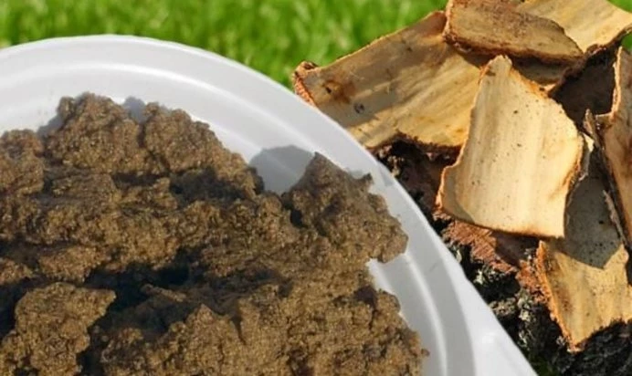 7 самых странных блюд, которые ели наши предки