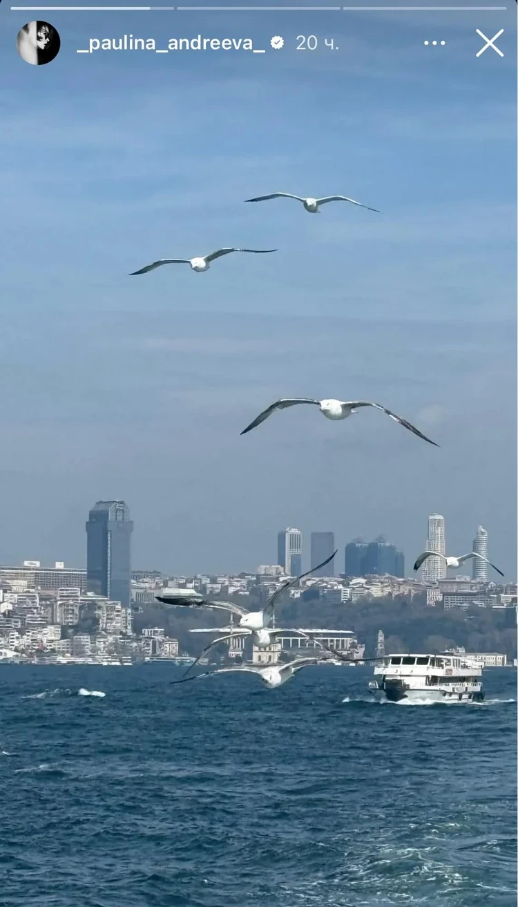 Паулина Андреева улетела из России после объявления о разводе с Фёдором Бондарчуком