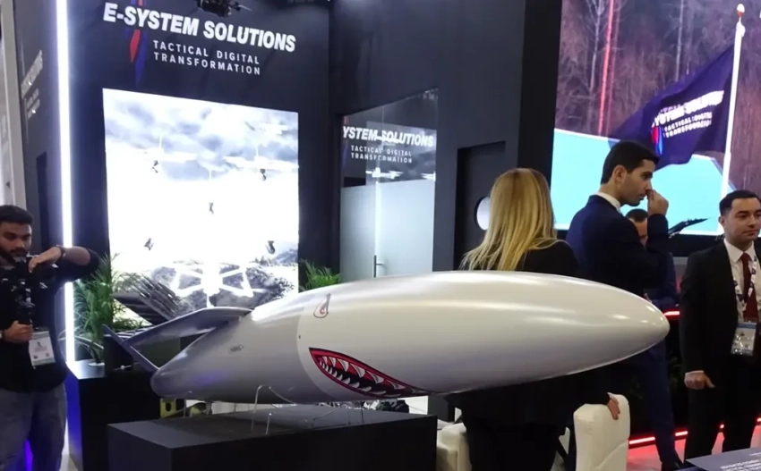 Белорусско-эмиратский проект ракетного комплекса E-System Solutions LCCM Mk 2