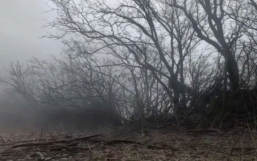 ВС РФ освободили Цветковое в Запорожской области и Голубовку в ДНР